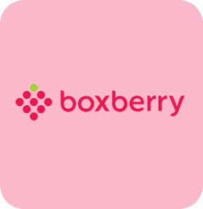 logo boxberry